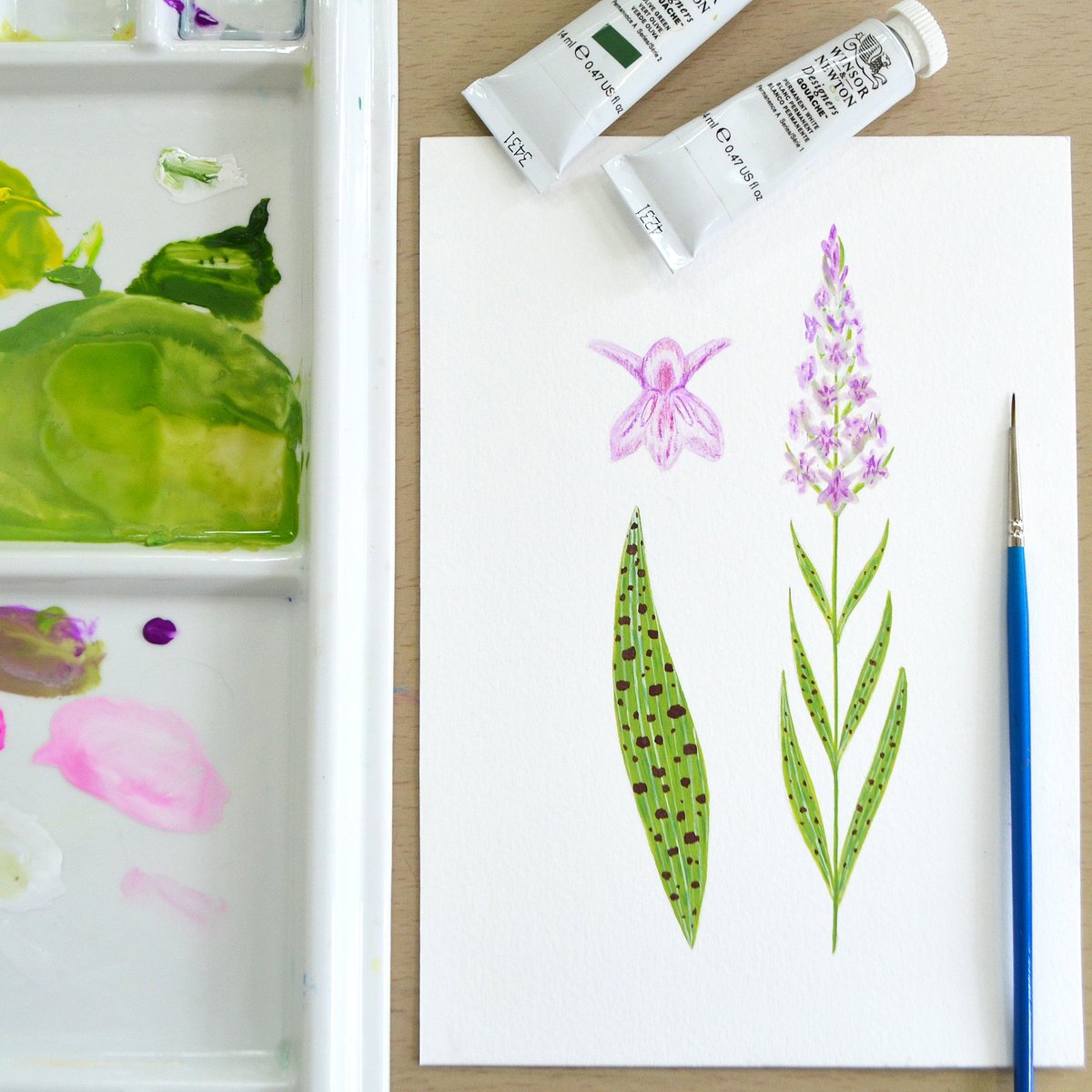 FM_Illustration's tweet photo. Join me for a #freeworkshop tomorrow morning (Saturday) at 11am, #painting a #commonspottedorchid with @WiltsWildlife, follow the link for the livestream via zoom! #illustrator #workshop #wiltshire #salisbury #whatsonsalisbury #wiltshirewildlifetrust  https://t.co/ydrizEupkk https://t.co/9AQiGvsKXQ