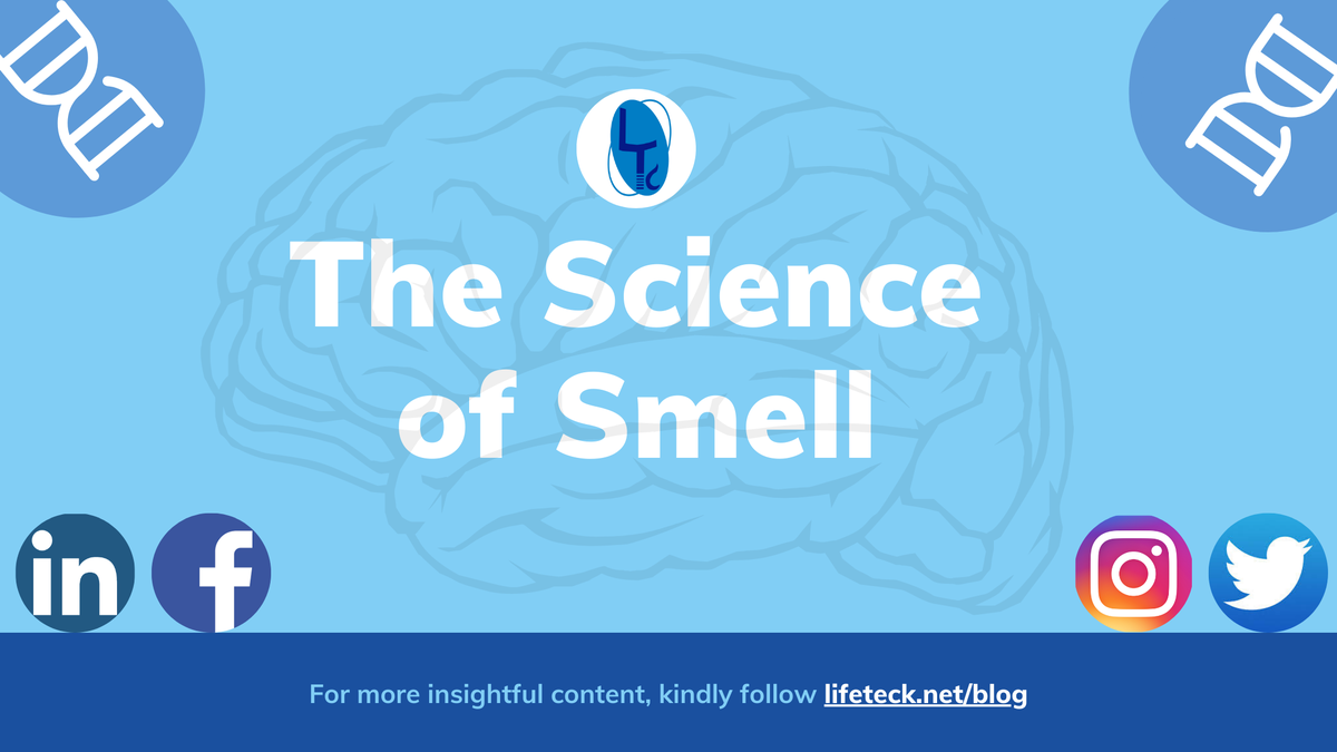 ltrcofficial's tweet photo. https://t.co/T1X2IQXJ9R

Here's a glimpse into the science of smell and why we lose it to Covid-19! Authored by Ms Pooja S Madhavan.

#lifeteck #COVID19 #Corona #coronavirus #SARSCoV2 #Biotechnology #science #technology #innovation #research #India #Entrepreneurship https://t.co/UgrUioydLu