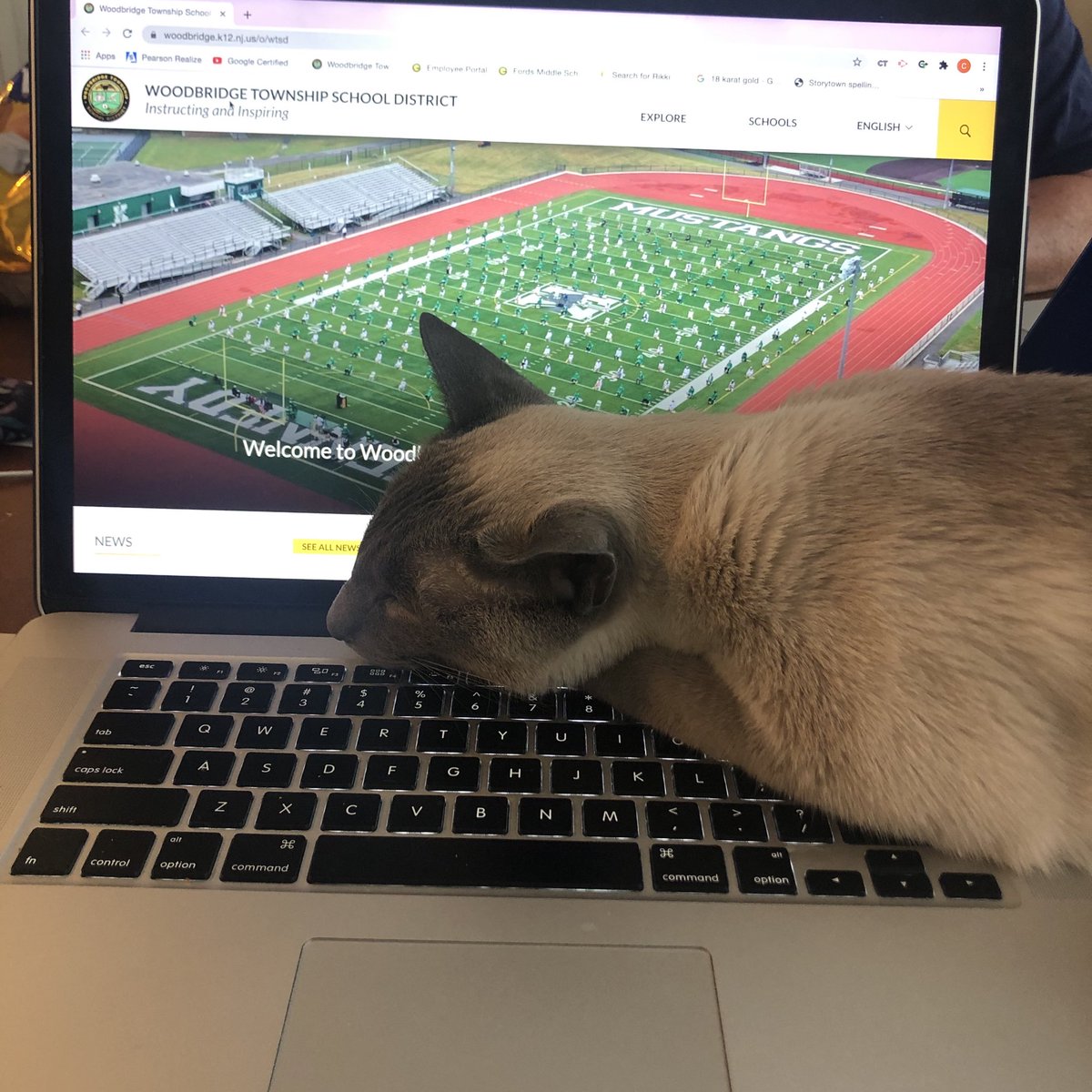 ckenneyfms's tweet photo. Trying to check my email… 😻 https://t.co/MRpm5ShDNc
