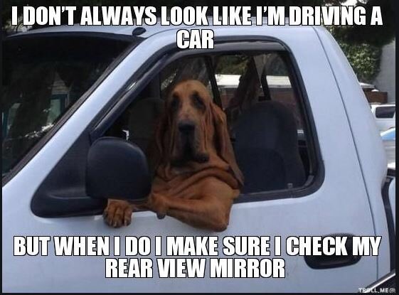 DrivingUniv's tweet photo. #DrivingUniversity #DefensiveDriving #TrafficSchool #TicketDismissal #DriverImprovement #Easy #Online #AutoInsurance #SaveMoney #Insurance #Premium #DMV #Driving #TrafficTicket #Citation #Savings #Discount #DefensiveDrivingCourse https://t.co/RE7QCBjAIJ