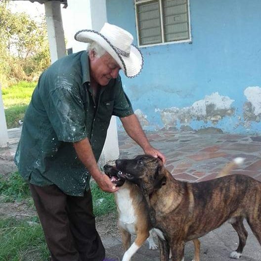 DonAlvaroActiv's tweet photo. Hola, soy Don Alvaro, vivo en el municipio de Candelaria, Valle del Cauca. Tengo 65 años, mi familia son 14 perritos y 17 gatitos.

No sé manejar redes, pero mis amigos me ayudarán para que me conozcan y así poder llegar a más personas. 

Ayúdame con un RT y sígueme por favor. https://t.co/tORpI0mNzn