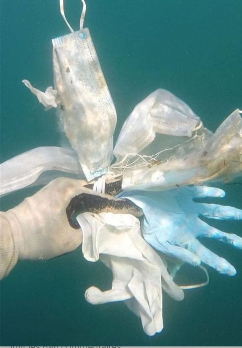 This is a disgrace. Fortunately, it will be over SOON. We are currently working with PPE producers and paper makers to end this. Our technology makes them 100% biodegradable/compostable while offering the same protection. #masks4all #nature #COVID19 #coronavirus #environment