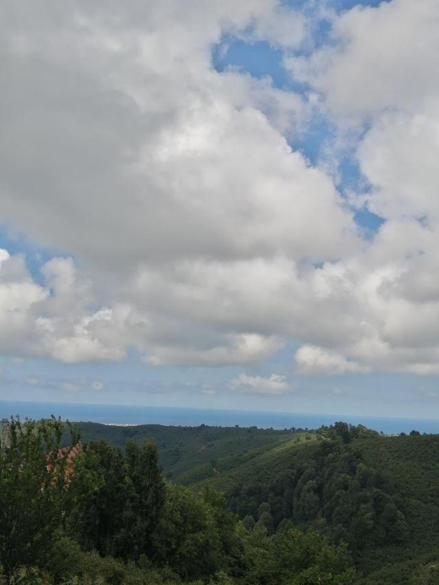 HazelnutKocaali's tweet photo. The love of blue and green. The love of hazelnuts and clouds.
https://t.co/axPZEoztg6 https://t.co/dlTC2wZa5T