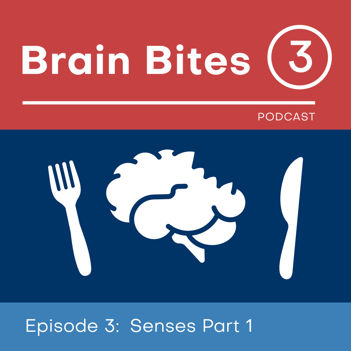 FAUResearch's tweet image. @program_ascend hosts Brain Bites Episode 3: Senses Part 1.⁠
⁠
Listen in on the physical senses such as sight, touch and hearing by listening to the podcast.⁠
⁠
Listen here: rb.gy/6c66sf
⁠
#fauresearch #ascend #brainbites #podcast