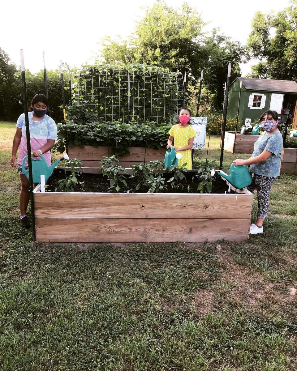 gofm_s's tweet photo. The trellis behind these Young Gardeners support cantaloupe plants!
#eatvegetableseveryday
As always, we're grateful to:
@galvestonisd
@galvestonisdtexasace https://t.co/gfIFlgdt3t