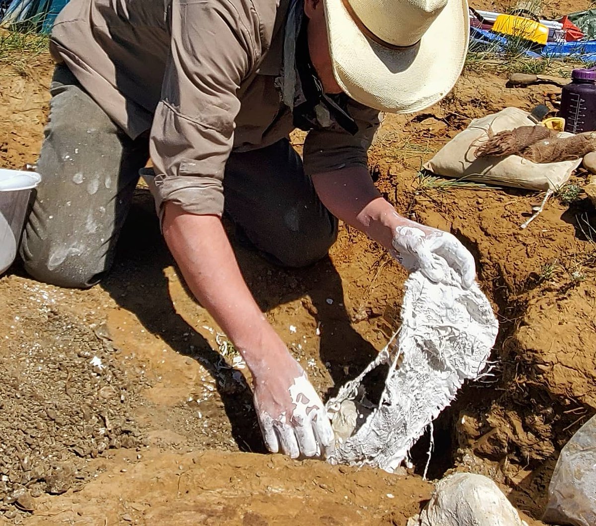 4. Strips of damp burlap are dipped into wet plaster. The plaster is mixed thick enough to stick to the burlap, but thin enough to smear around. Think cake batter. Thin plaster won't have integrity and the jacket could collapse. Thick plaster will 'kick' (harden) too quickly.