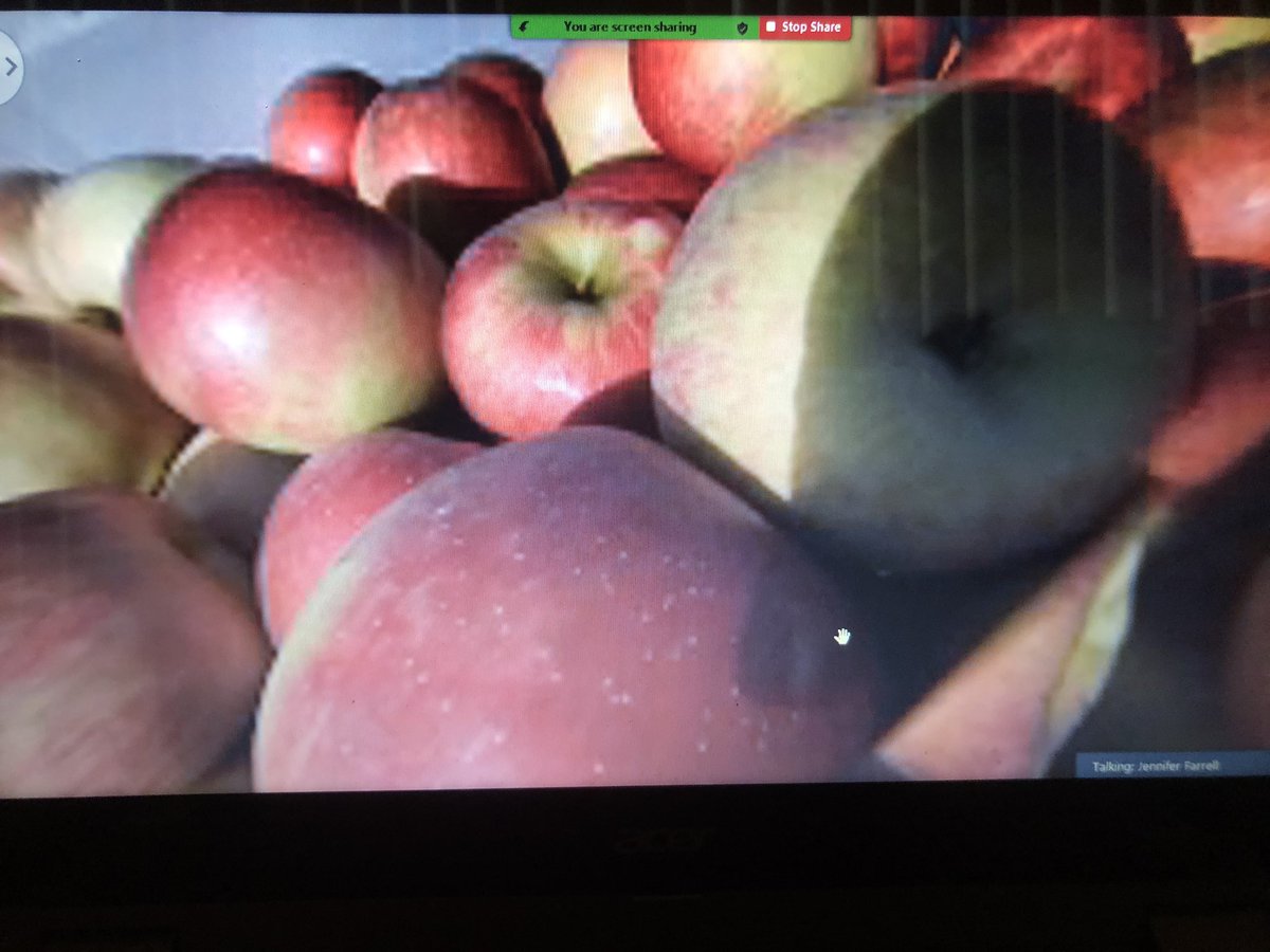 MissJFarrell's tweet photo. Ss enjoyed virtual tours of different farms! They chose to tour the mink, chicken, and pig farms and the apple orchard too! @LB_STEAM #lbsteam https://t.co/D4KTFNCxSi
