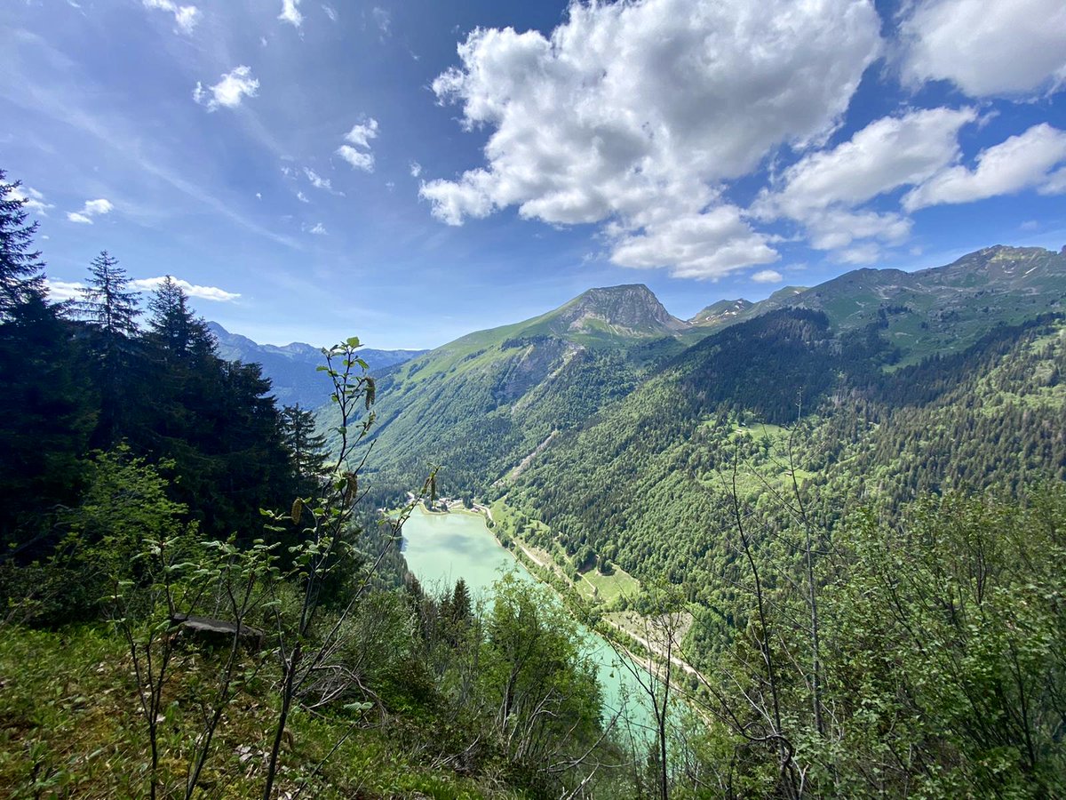 morganjupe's tweet photo. One of the best things about spending summer in the mountains is stumbling upon breathtaking viewpoints ⛰🍃
.
.
.
📸 @stephnorm93 https://t.co/q2ctkAoVzP