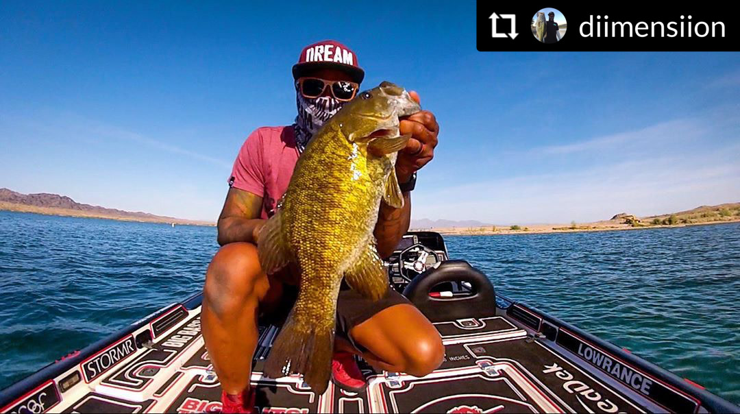 seadek's tweet photo. What a beauty! 🔥 #smallmouthbass
#RepostPlus @diimensiion
- - - - - -
4 hour drive to catch these browns. But alw... #BigBassDREAMs #Megabass #MyMegabass #Sparkshad
#Proofeyewear #ProofCrew #NikeSB #BassFishing #Fishing #SmallmouthBass #Swimbait
#NikeSB
#seadek #genuineseadek https://t.co/vz6K2CJ03p
