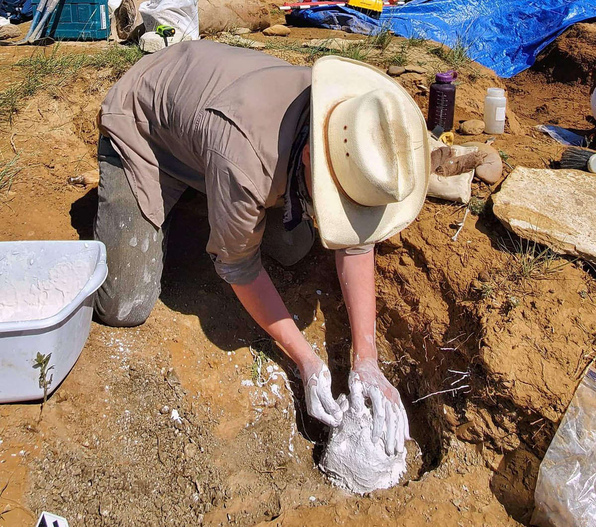 5. The strips are wrapped around the fossil to the base of the pedestal. Leave slack and walk your fingers over the strip to work it into the surface. Apply more layer(s) until you've got enough support. This vert only needed a couple strips because of its small size.