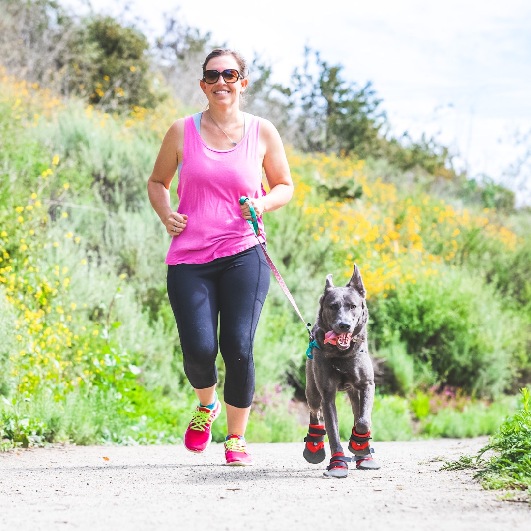 UltraPaws's tweet photo. Trail running the summer?? Our Rugged Dog Boots are pawfect for running on various surfaces, like gravel and rocks. They also help protect paws from hot surfaces like asphalt and concrete!

#dogboots #trailrunning #hikingwithdogs #runningwithdogs  #summerdog #activedogs https://t.co/yI8pxNAoSW