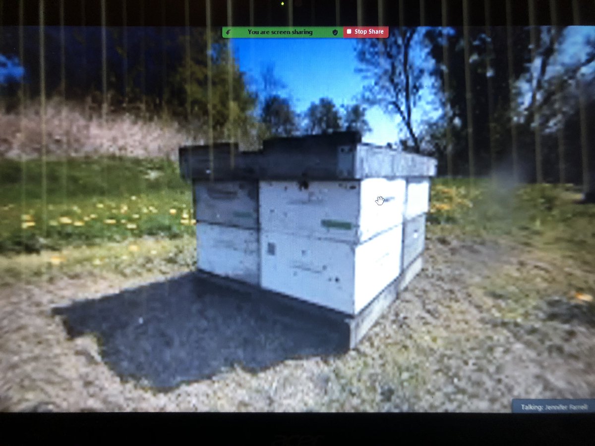 MissJFarrell's tweet photo. We learned that apple orchards keep beehives in the orchard to help pollinate the apples. @LB_STEAM #lbsteam https://t.co/iZjcvjJyYj