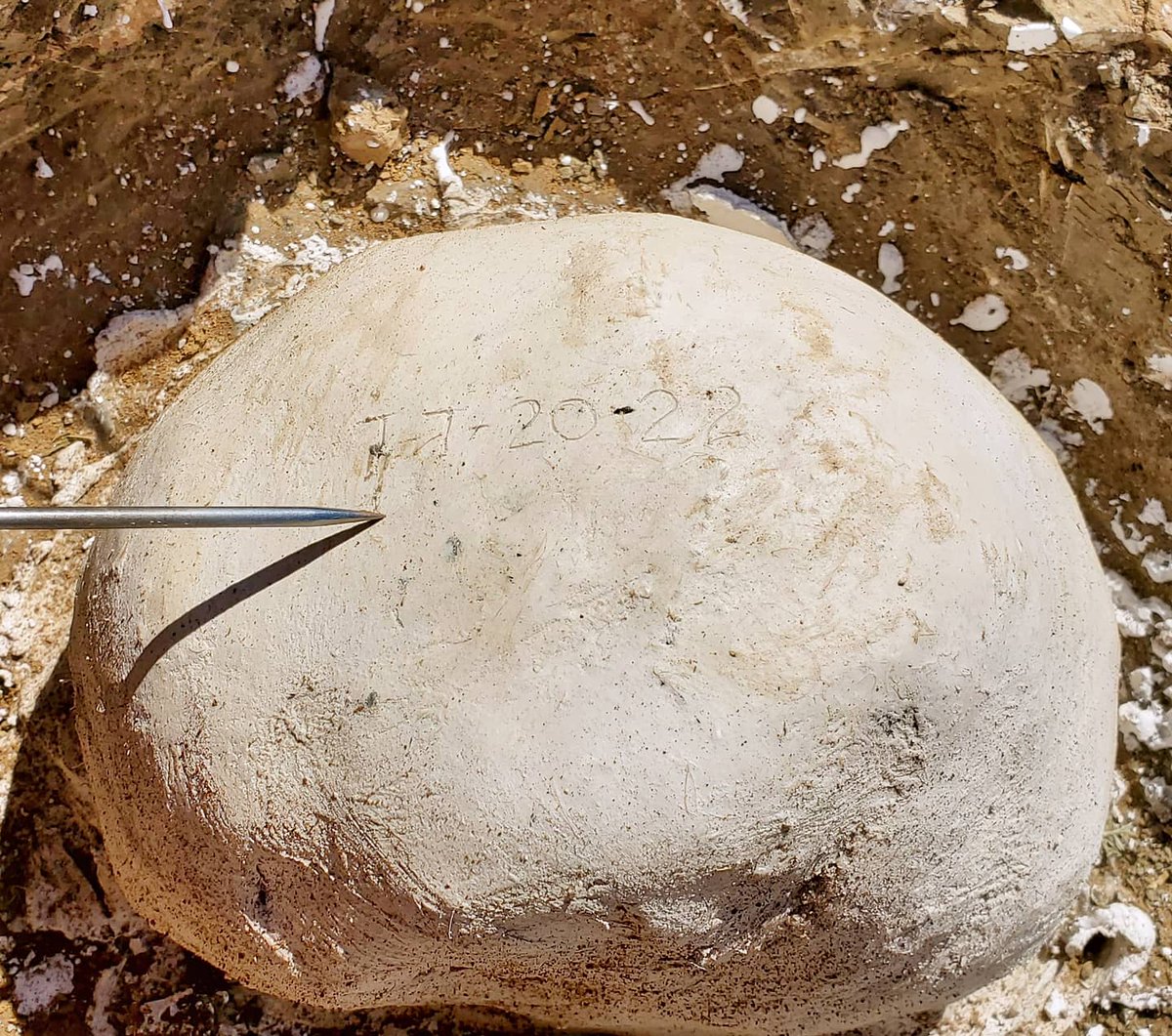 6. Smooth everything out! Shapes that are harmless in wet plaster can be wicked sharp when it cures! Use an awl to carve the field number into the surface while it's still damp, let cure for an hour or two in the sun, and you're done! Congrats, you've made a jacket!