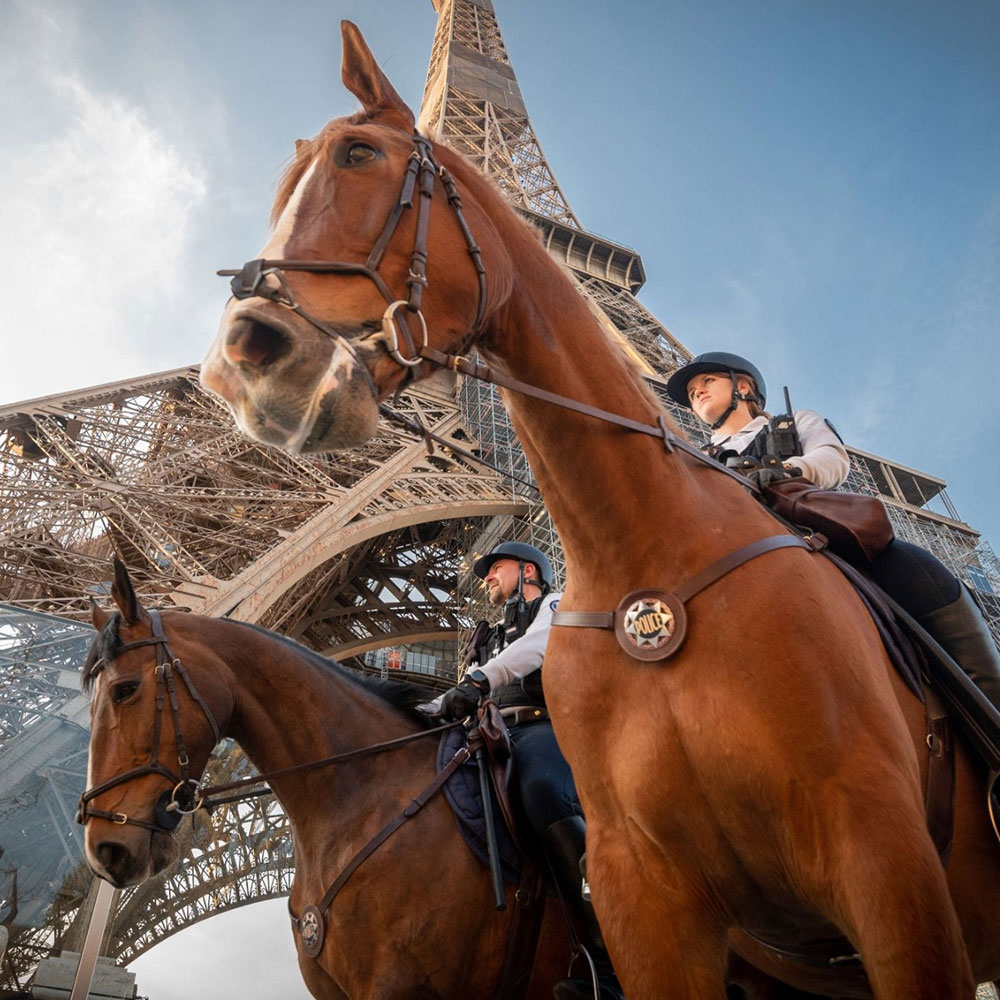 Welkitcom's tweet image. Un GRAND MERCI pour votre engagement ! Prenez soin de vous et passez un bon weekend.

Photo : Police Nationale

#welkit #solutionpro #prixbas #tactical #police