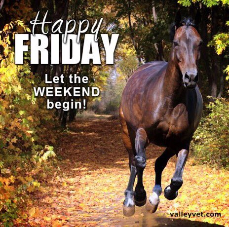 LoveCelticWoman's tweet photo. @McKinnonPhD @SSscoop475 @Peggy4TRUTH @Silviadomi22G @Princess3Rina @Seaclare115 @RoadBrook @ElisaElisa110 @insaurraldeh @THE_LGND_ @Cathhewat123 @SpiritRider1 @zapp12347 @Hsnklil @Wrix2 @SabathVictor @WomanCat70 @LOGANGAIN1 @YNHallak Thnx4 mention @McKinnonPhD ! Nice2seeU! HappyFriday CM!🙏😀
Frm ChrisB @lovecelticwoman 
#Teamstallion FollowUs @italianostyle2 @MarEthr @McKinnonPhD @tiaremarz @IMSUGARH @PopRioRe @HotSonna1 @lumpie125 @NasratullahBas5 @PopRioRe @AdeoyeM54580713 @darcydonavan ❤️ #UKHashtags https://t.co/YJxo4RFSXw