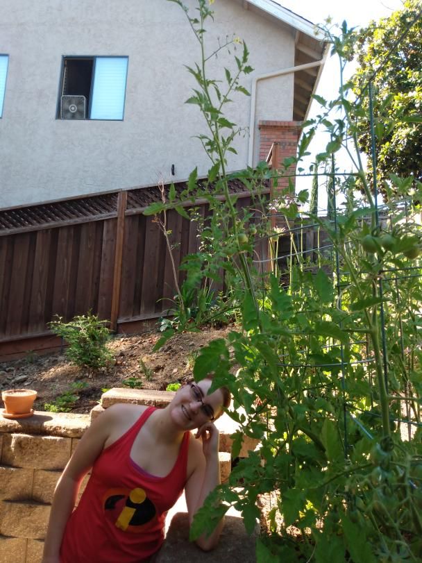 A little visit to our #microfarming set up outside our NuTrees...It's not super rad just a little rad-ish. Look how big those tomatoes are!
#growyourown #gardening #cleantech #sustainability #womeninstem #startuplife #femalefounder #femaleentrepreneur #bayarea #siliconvalley