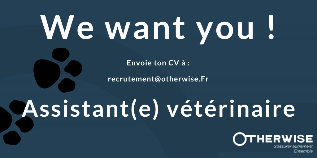 Otherwise tweet media