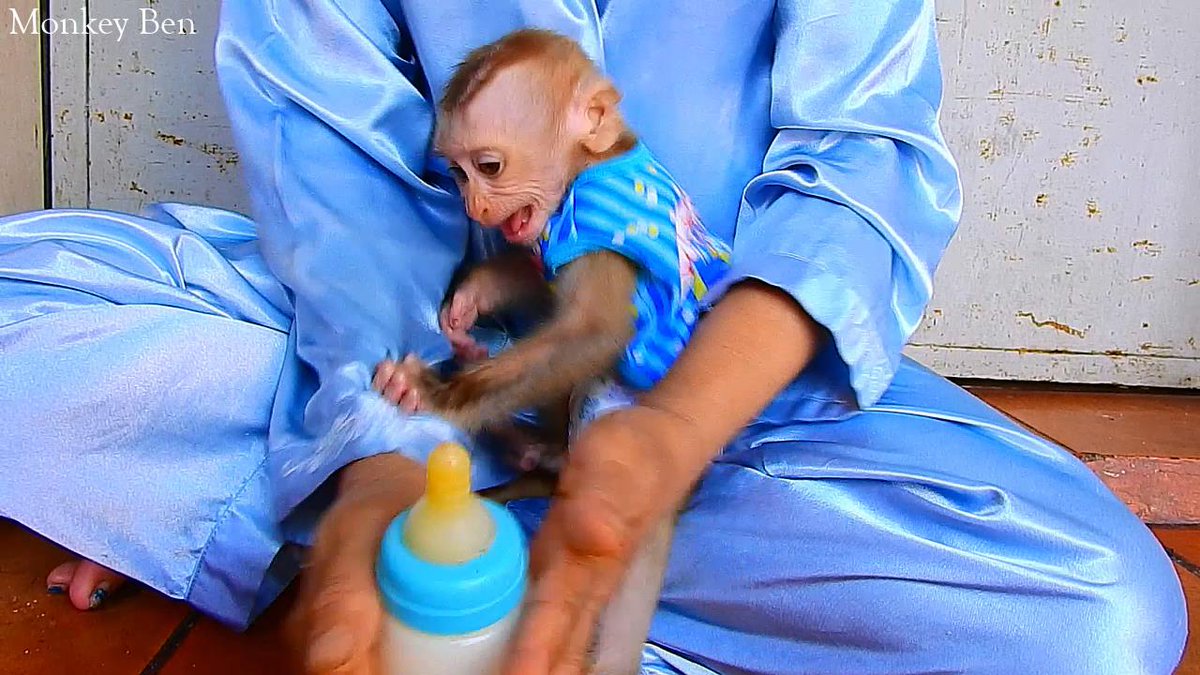 MonkeyBen3 tweet picture