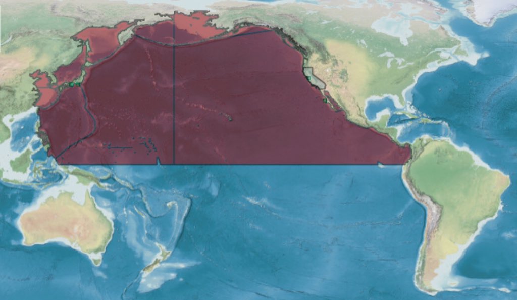 Ammothea hilgendorfi. Nice colours, and documented range in the last photo. Though it has apparently also become introduced to the sea around Venice somehow.