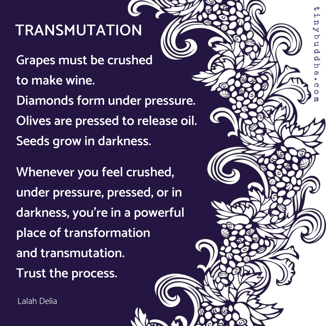 tinybuddha's tweet photo. "Grapes must be crushed to make wine. Diamonds form under pressure. Olives are pressed to release oil. Seeds grow in darkness. Whenever you feel crushed, under pressure, pressed, or in darkness, you’re in a powerful place of transformation and transmutation." ~Lalah Delia https://t.co/G0dBr61SXG