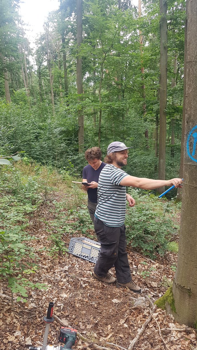 Land Surface-Atmosphere Interactions tweet media