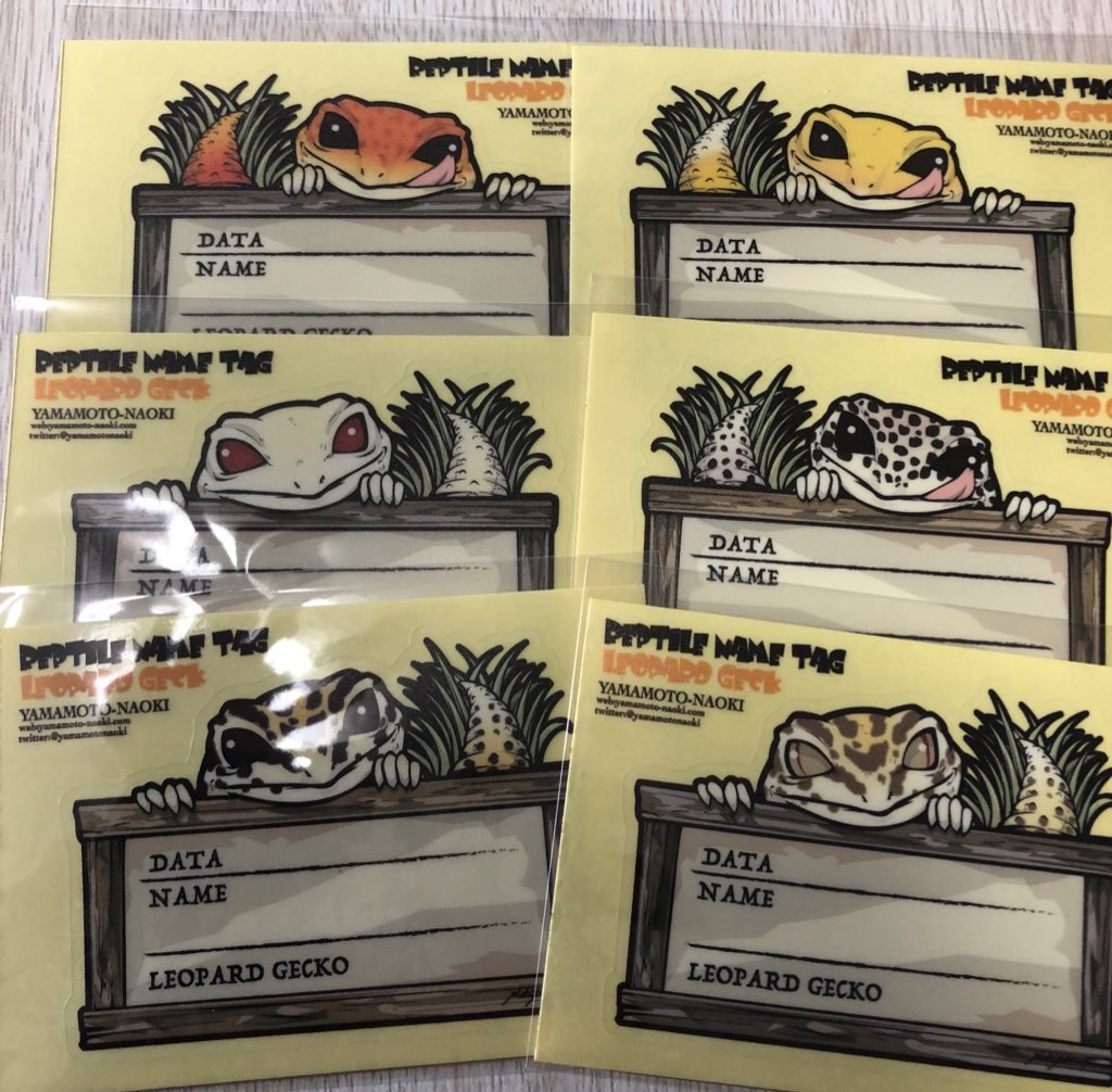 ヤマモトナオキ レプタイルボックスはもちろん グラステラリウム3030以上の下部のガラス面に貼れるサイズです パンテオンだとちょっと下のプラスチックの下に噛ませないといけないけど もちろん耐水で貼ったまま水洗いもokです Twitter