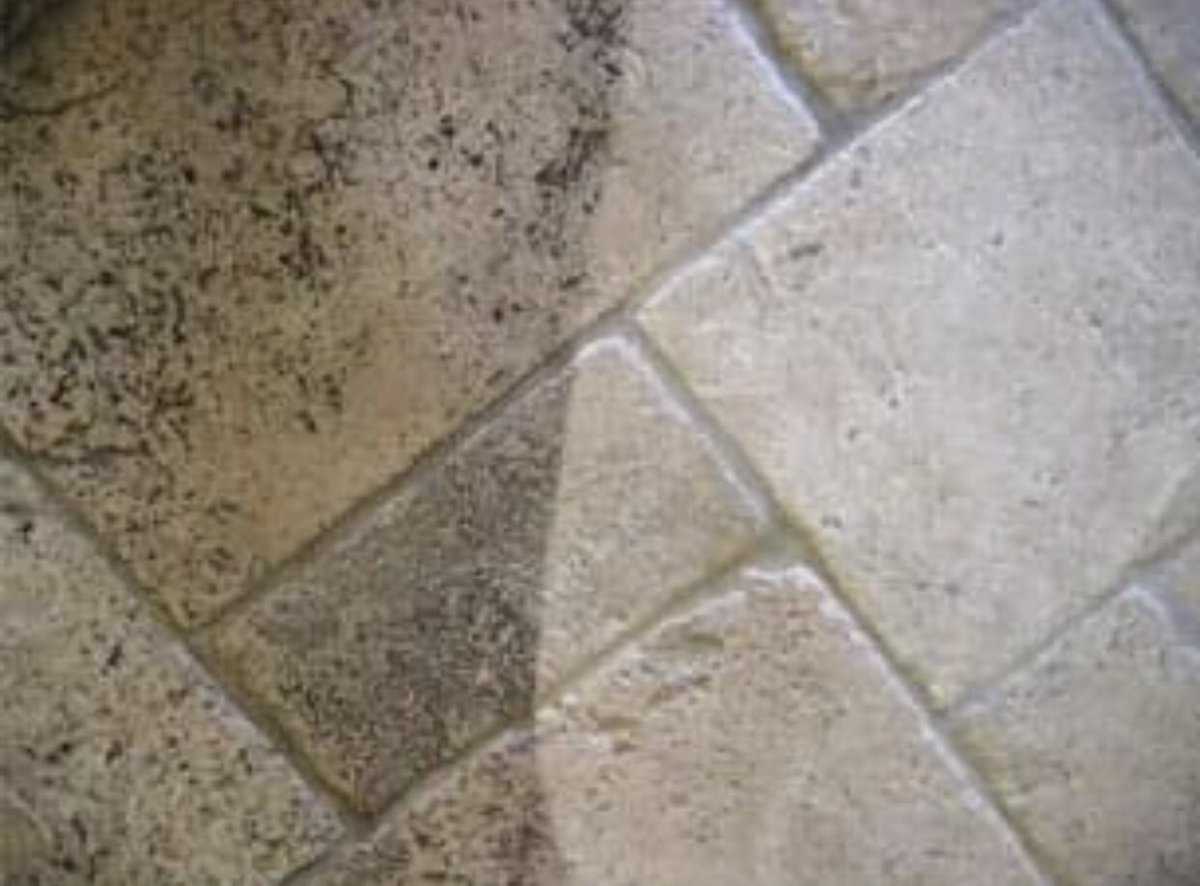 Have you got dirty tiles that you can't keep clean? 🚫

Here at Zero Dry Time our Sonic cleaning machine will make light work of dirty areas 🚀

We will hand clean your grout lines to make sure there is not a speck of dirt left 💪💪
call us on 0800 180 49 44 - 07817 984969