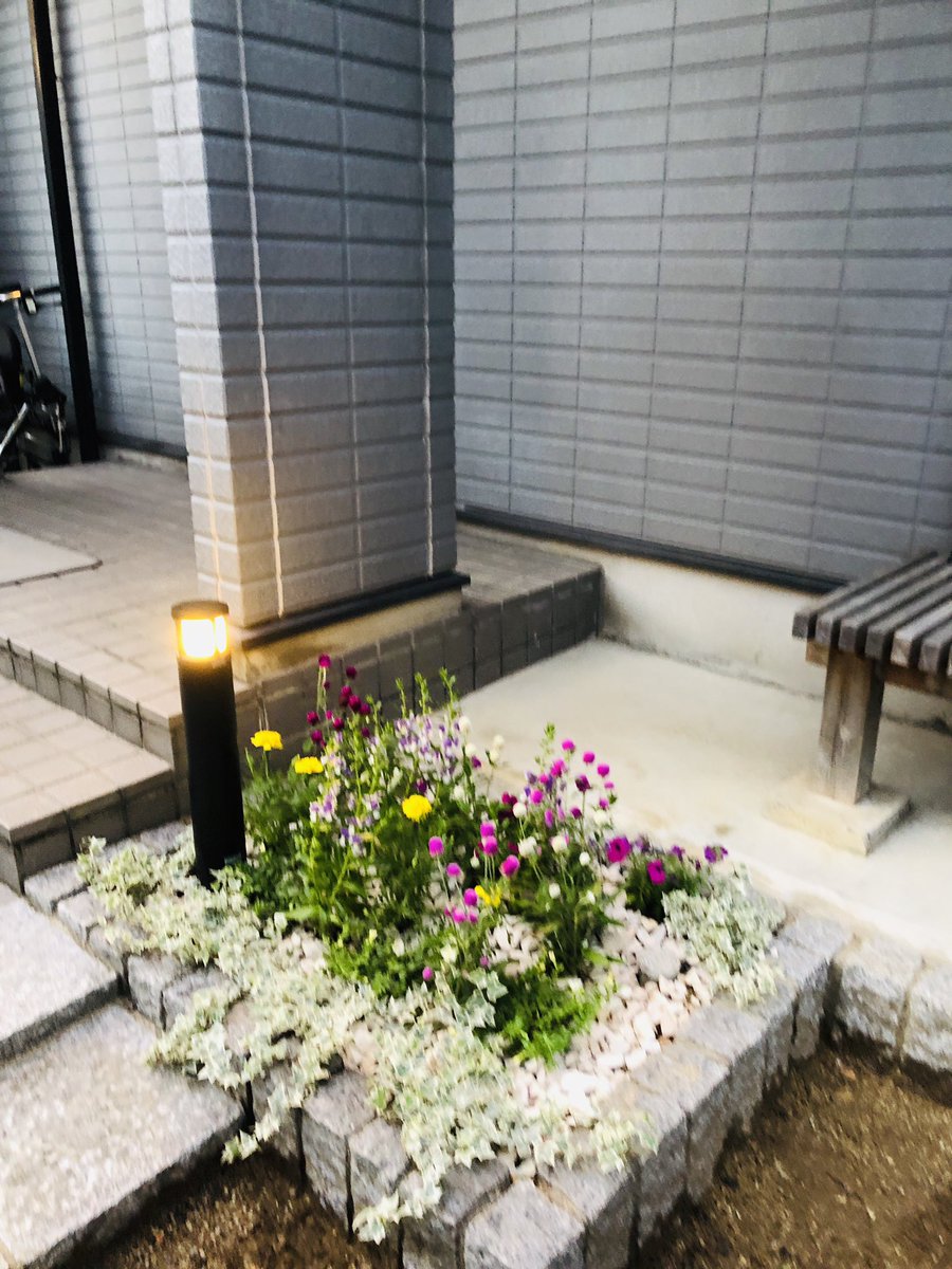 ট ইট র ヘデラ হ য শট য গ