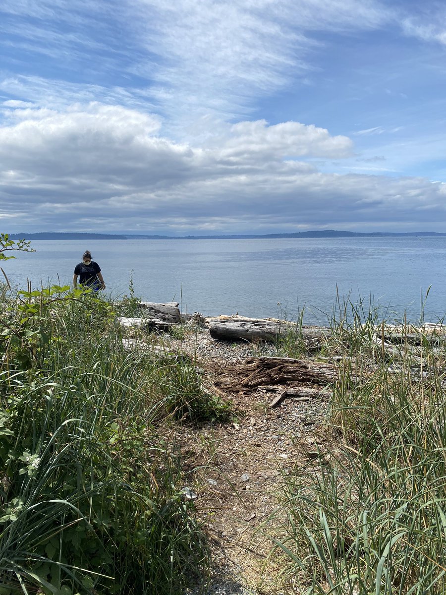 A little beach 🌊💦 clean up moment #keepbeachesclean #WA