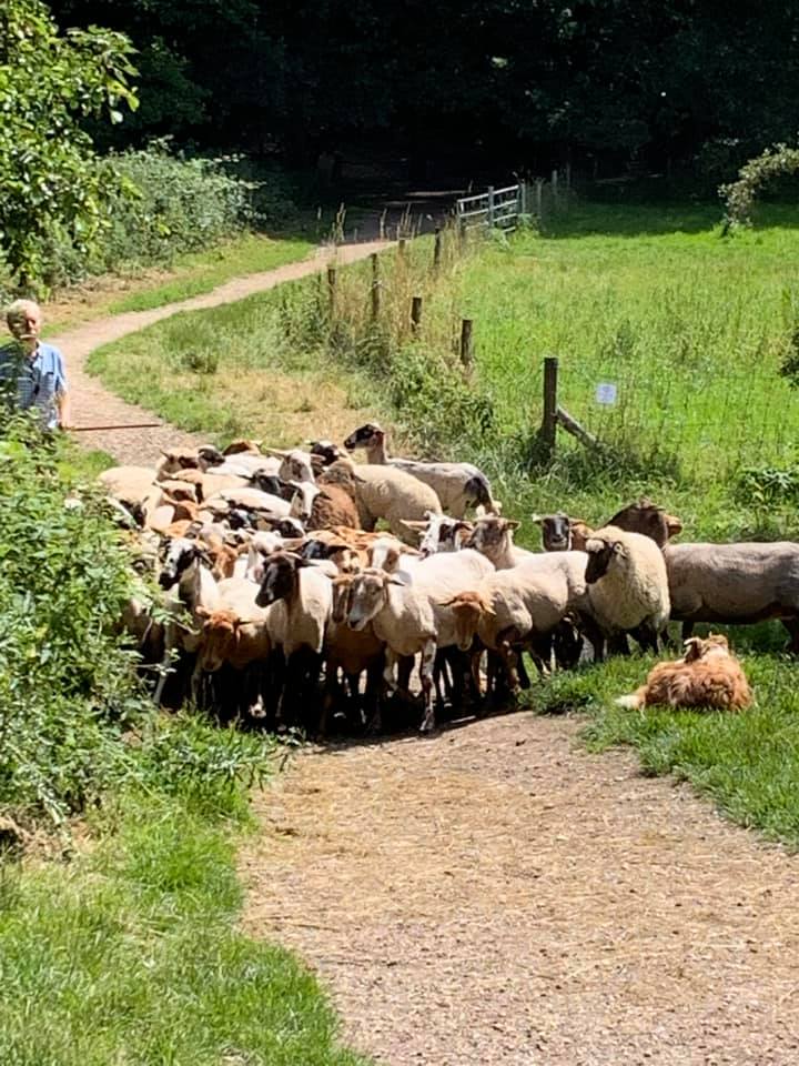 When you live in #Heerlen you are already on a #holiday.
Love this place! #Limburg <a href="/gemeenteheerlen/">Gemeente Heerlen</a> <a href="/HeerlenMijnStad/">HeerlenMijnStad</a> @Communi28826944 <a href="/visitZL/">Visit Zuid-Limburg</a>