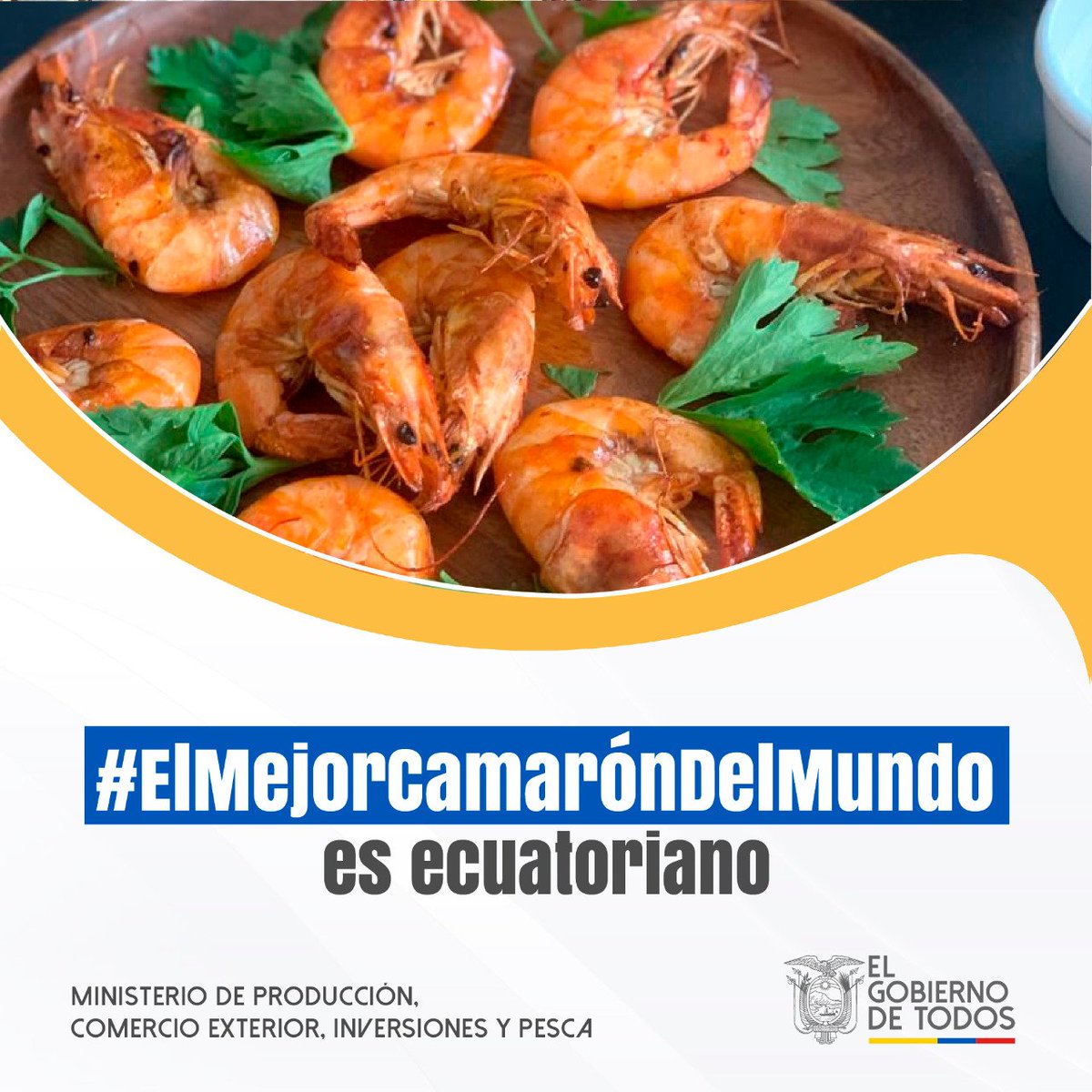 #ElMejorCamarónDelMundo es nuestro! 🦐🇪🇨👏🏻