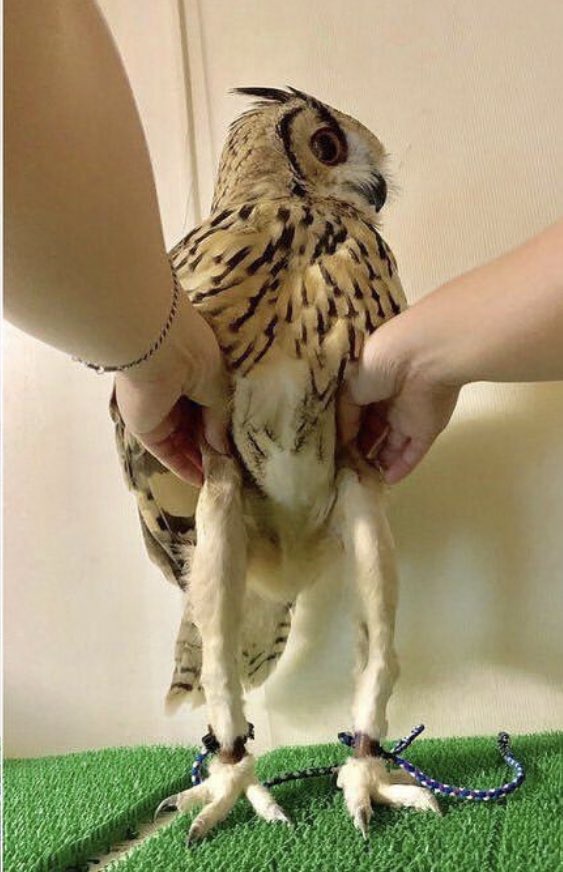 Me in the fall           Me in Summer