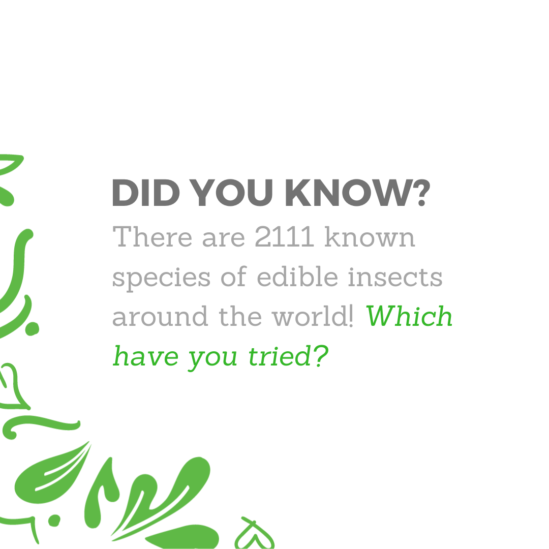 MightyCricketCo's tweet photo. Woah. That's a lot of unharnessed food out there! Think about this: if we destigmatize edible insects, we could open up a whole new nourishing food source to combat food scarcity. #newenvironment #stophungernow #zerohungerworld https://t.co/s8ckstiCFy