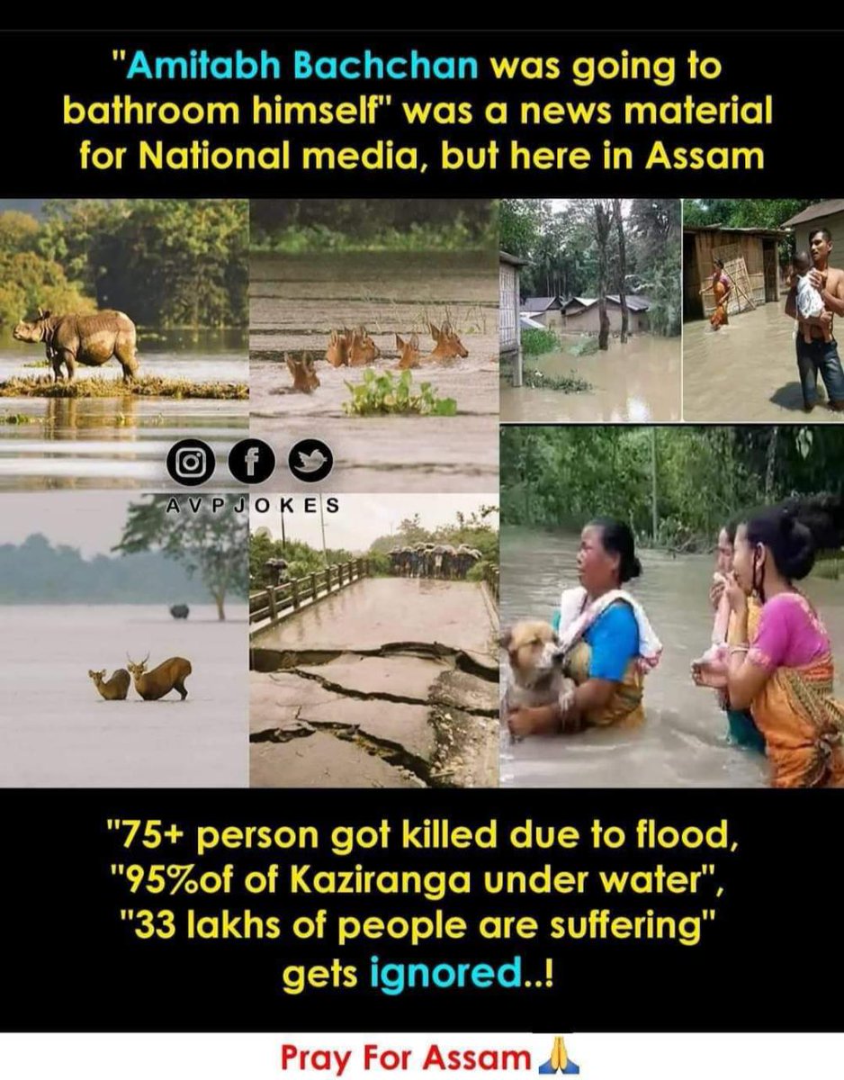 prajapatprakas7's tweet photo. #Asamflood #saveasam https://t.co/qiXrtsidF5