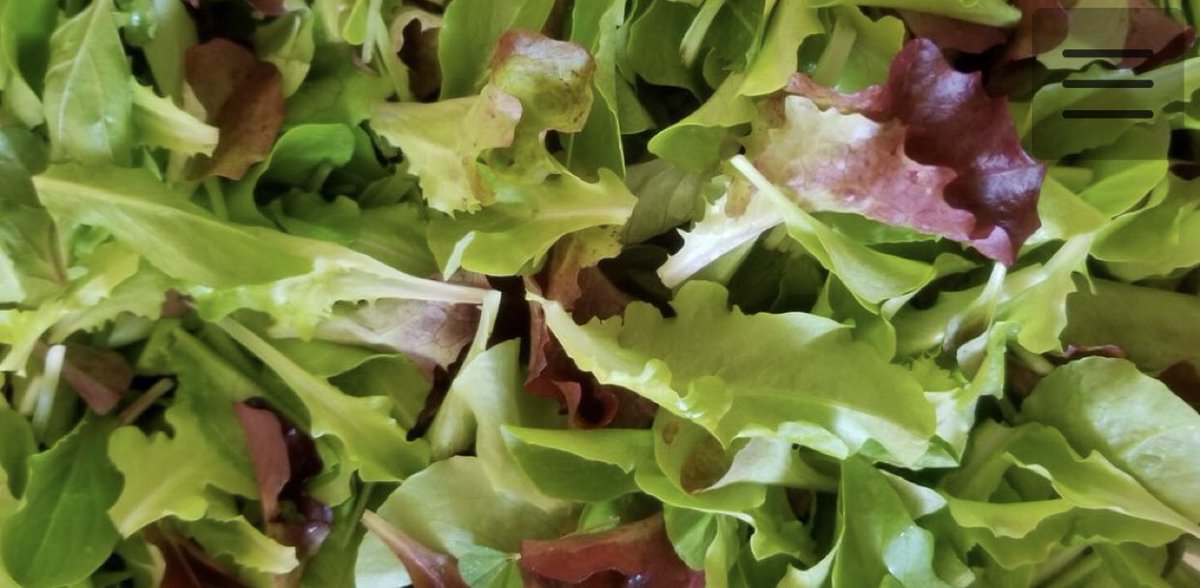 BFarmFresh's tweet photo. Today's #Farmfeature is Rita's Market.  Located 4823 Thirty Road North #Beamsville As fresh as it gets - From the farm to you.  If you love your health, then go and pick up some fresh microgreens.
https://t.co/5rDiwIU2Av https://t.co/v8QwkFNAq3