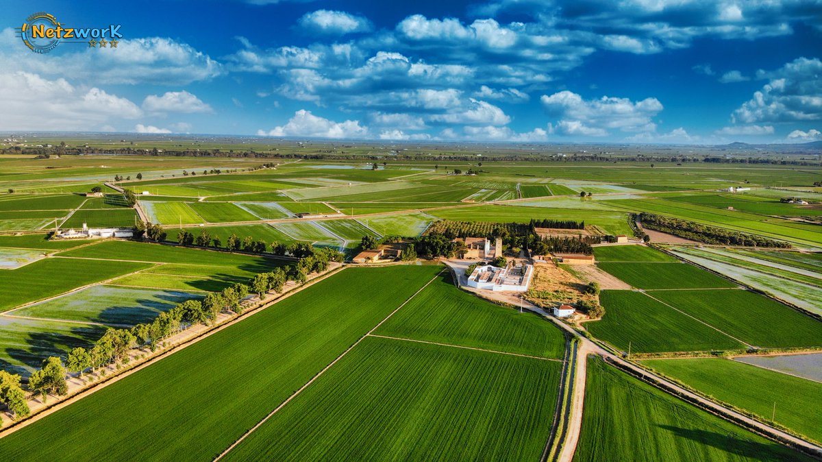 SetoGallego's tweet photo. 🟢 L’arrossar #laldea #dronestagram #TerresdelEbre #ebreterra #netzwork #netzworkdigital #ebrexperience #canal21ebre #catalunya #catalunyaexperience #dji #dronephotography https://t.co/XDcpDdncWA