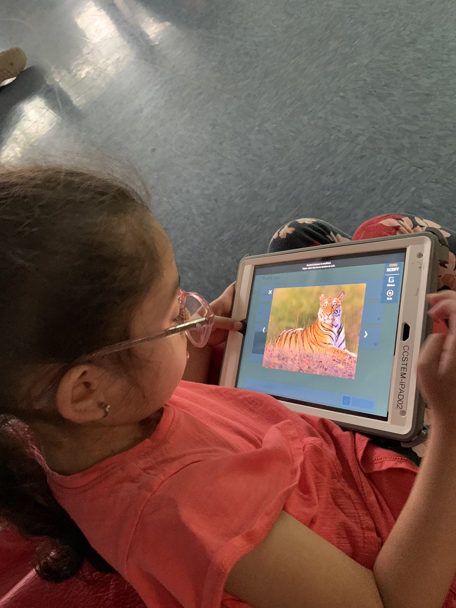 mskarfinkel's tweet photo. We took the coolest (virtual) field trip to the Phoenix Zoo today! We explored the animals that they have there with the help of our friend Blippi! 🦓🦒🐅 @MsOlsenBethpage https://t.co/1EJ3LDaCfQ