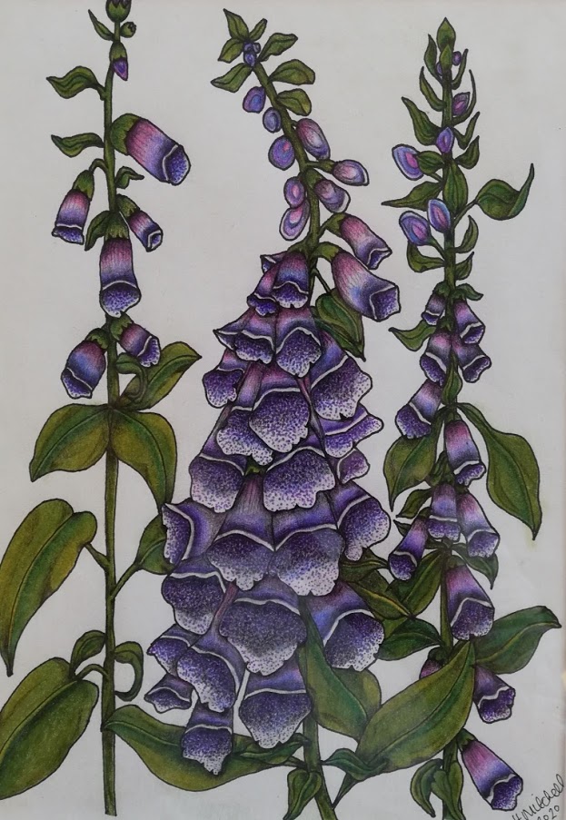 flatcatgallery's tweet photo. New in - these amazing drawings by local artist Holly Mitchell. You can see them all by clicking this link https://t.co/jvAR1FKpQT
or come to the gallery. We are open!!! https://t.co/25ul5tFA8N