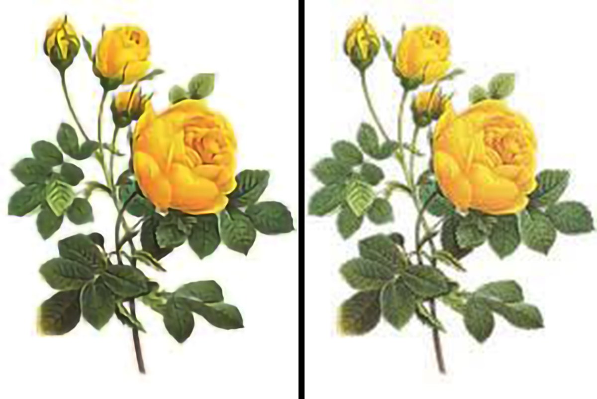 lemunuzzaman's tweet photo. Do you want to convert Small Photo to Large Photo with high resolutions?
Just knock me- https://t.co/21M7rJ6r6c
I am a professional Photoshop expert.
#qualitymanagement #photoretouching #photomanipulation #lowphototolargephoto #smallphototolargephoto #photoconvert https://t.co/w77x8QEY1y