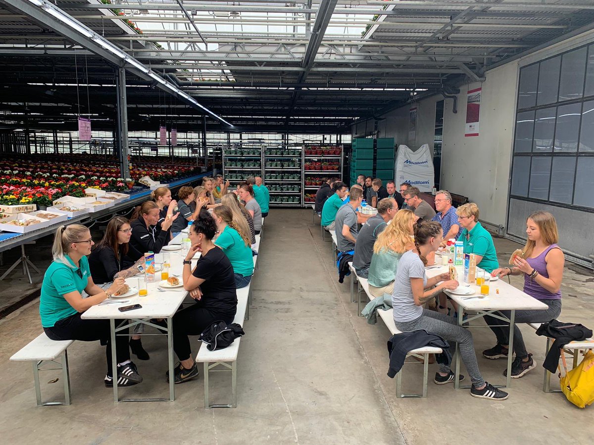 peter ten Have tweet media