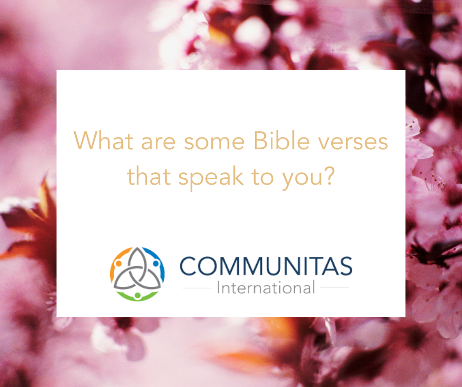 GoCommunitas's tweet photo. As the world is continually changing, what are some verses that have helped keep you grounded in the truth?

#gocommunitas #bibleverses #missions https://t.co/c3oXojh8ZL