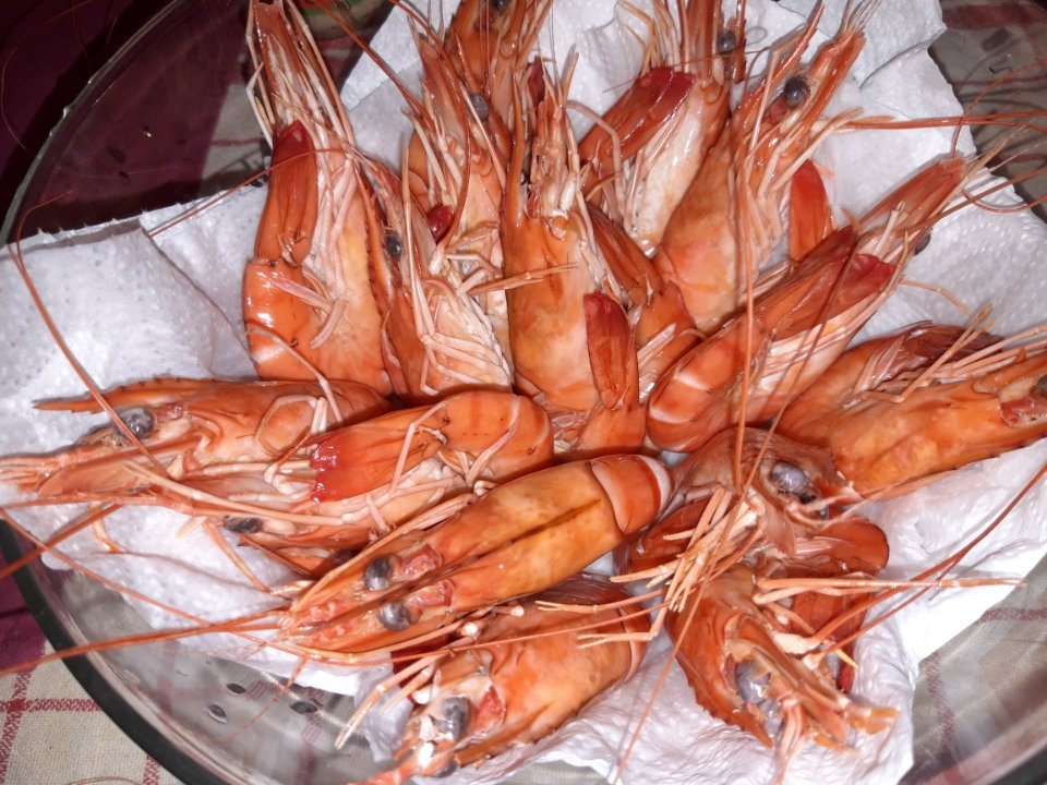 jtgrandtour's tweet photo. #jtgrandtour #Monaco #diner #photooftheday #jetaimemonaco #crevettes #schrimp https://t.co/9pxw7Hkhql