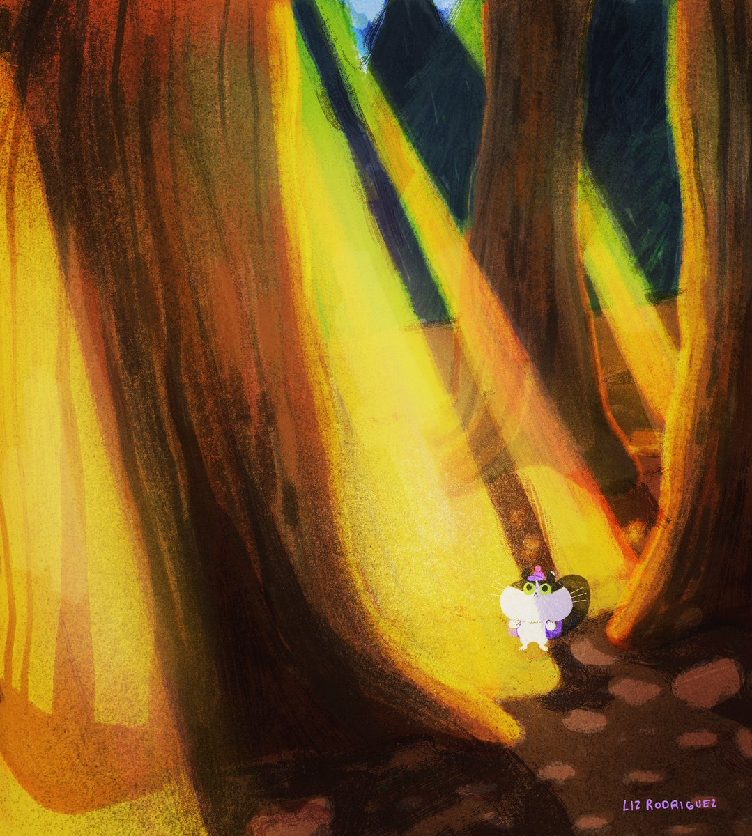 LizzFeed's tweet photo. Lunchie exploding the redwoods #colordesign #colordesigner #redwoods #lunchboxthecatrodriguez https://t.co/CbjsOOKIQm