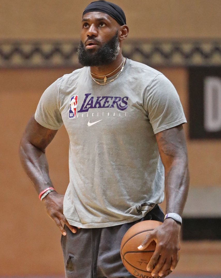 lebron james grey