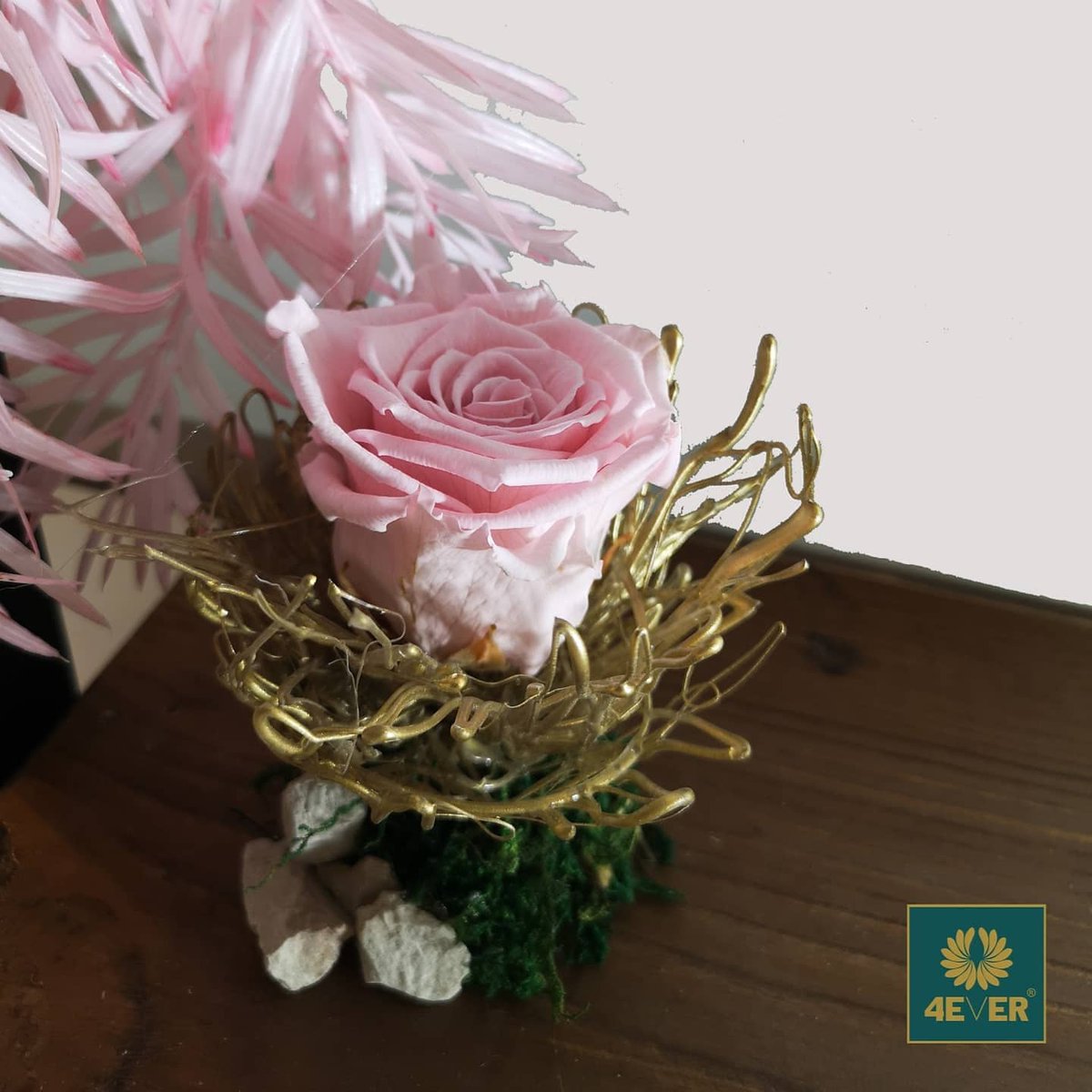 FLOWER_4_EVER's tweet photo. متوفرة الآن في المتجر الإلكتروني 😍
#وردة_العمر #4_EVER #الخبر #flower_4_ever #السعودية https://t.co/tnHzNP5YA1