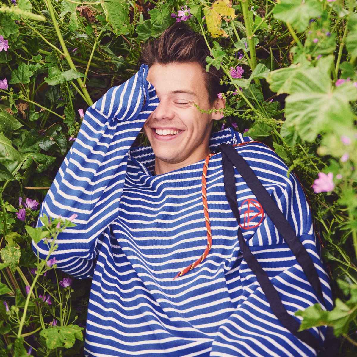 thestylesfandom's tweet photo. harry styles and his dimple https://t.co/xkVIH9GrDo