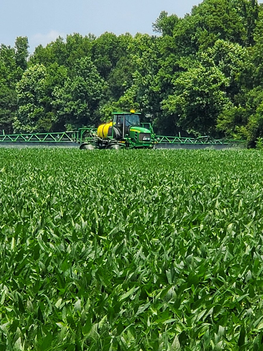 thad_sharp's tweet photo. That ol deere loves a soybean belly rub. @NCStatesoybeans @DynaGroSeed @ncsoybeans @kenhubbard13 https://t.co/LYiW9CKhiS