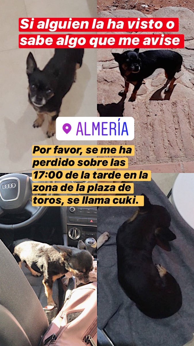 Ahmed Hamdan tweet media