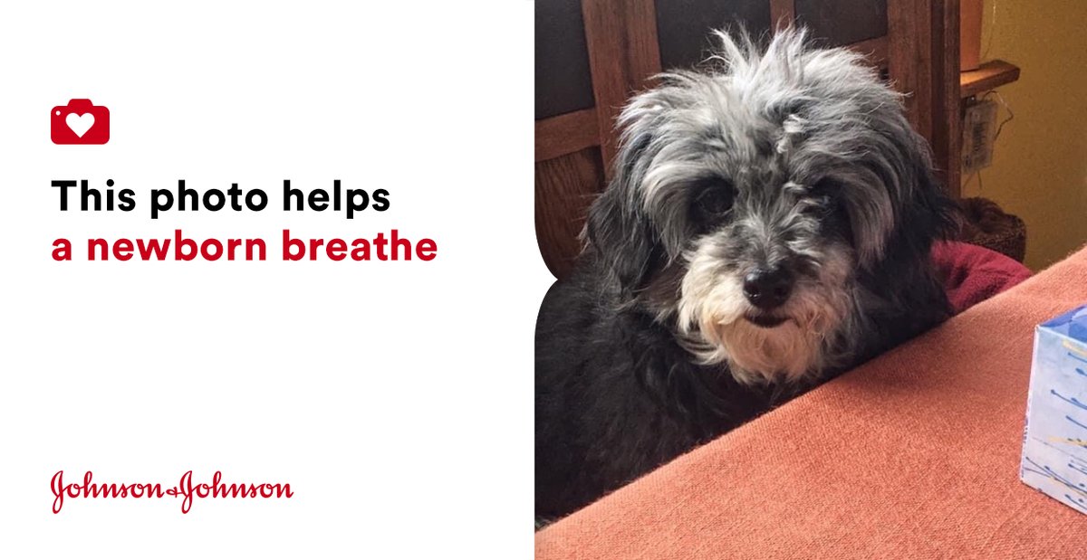 JellyTreeJewel1's tweet photo. #jnj @donateaphoto #changinghumanhealth #jellytreejewelry #jellytreedesign https://t.co/LTVMZujQgm https://t.co/pfDyWTdun7