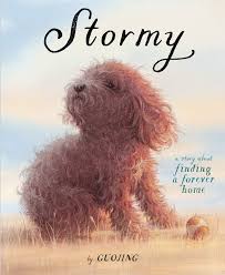 123_Mr_D's tweet photo. @OpenUni_RfP @TeresaCremin My current reading. Tom's for myself, Stormy to my class today, continuing to dip into Layers of meaning and David Sedaris as an audiobook. #CircleOfReading #ReadingTogether #readingforpleasure https://t.co/3e8VQoEO8k